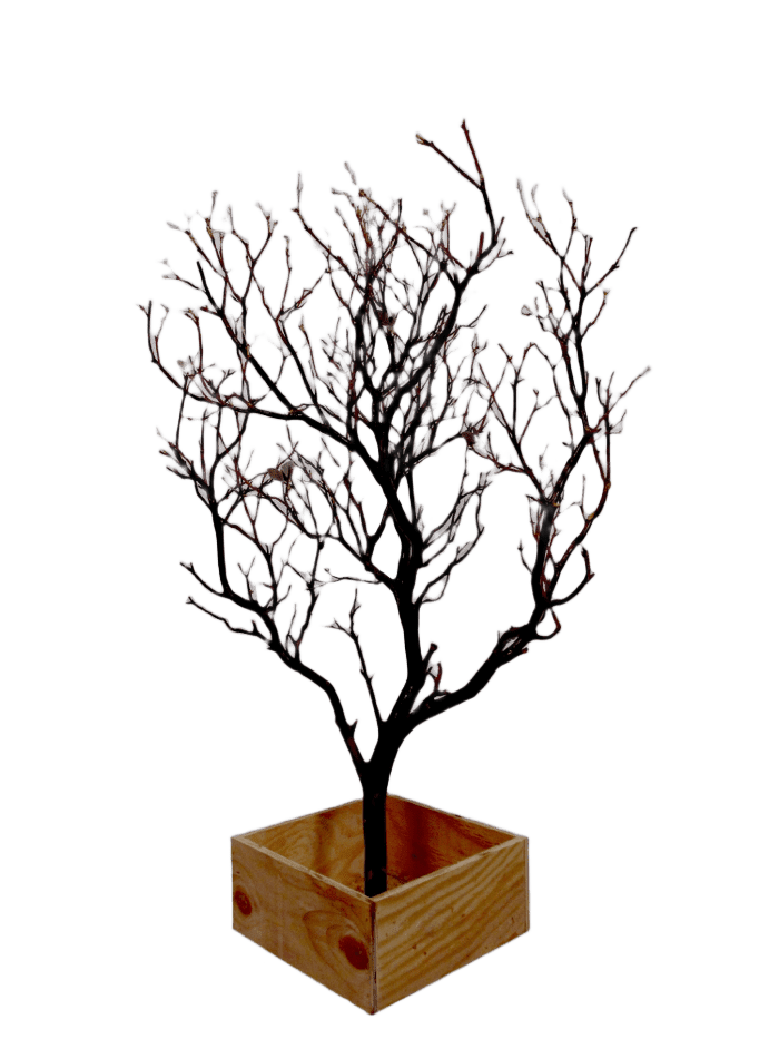 CALIFORNIA DRIFTWOOD / GHOSTWOOD – Floral Props and Design