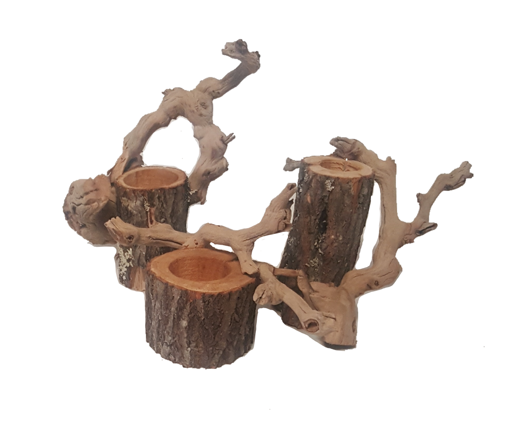BIRCH/GRAPEVINE VASE CONTAINER