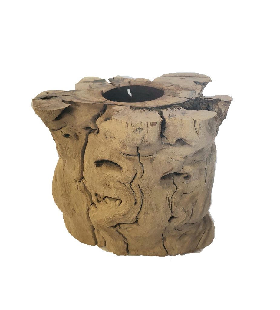 GRAPEVINE TRUNK CONTAINER (HOLE -2 1/8")