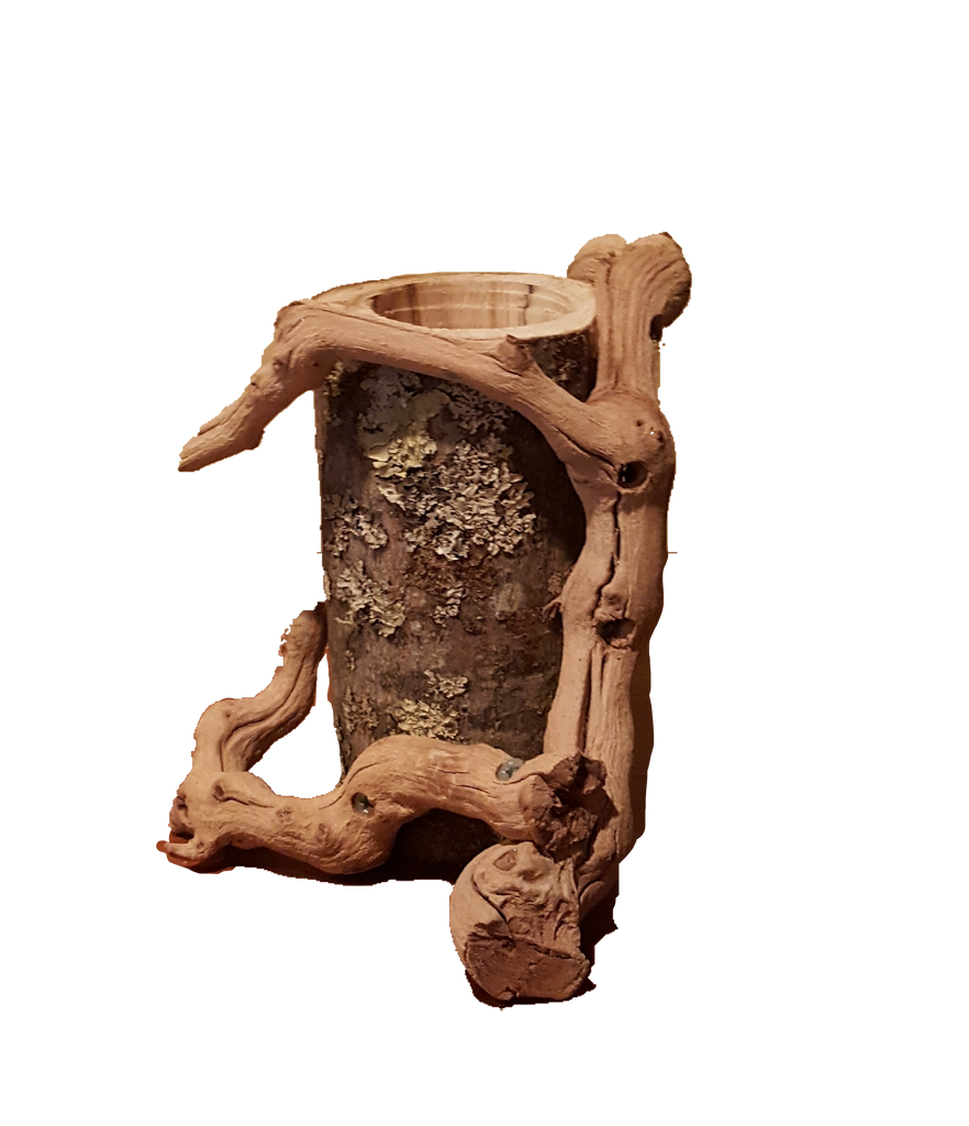 BIRCH/GRAPEVINE VASE CONTAINER